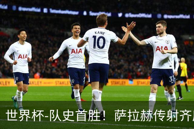 世界杯-队史首胜！萨拉赫传射齐库建功 埃及3-1新西兰升至榜首